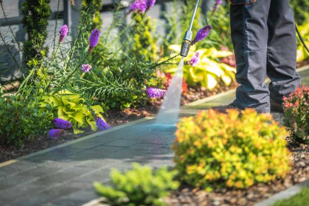  Labasas, CA Pressure Washing Pros